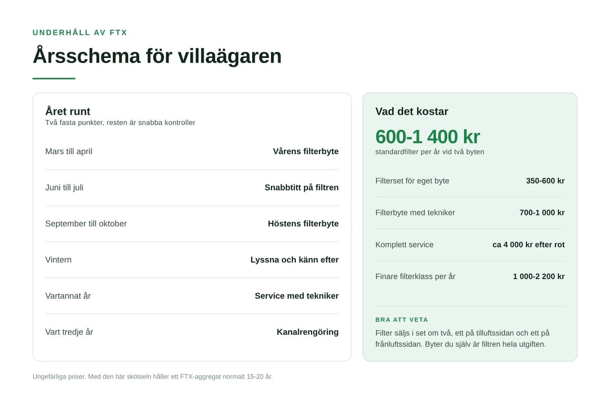 Underhåll av FTX-systemet: enkelt årsschema för villaägare