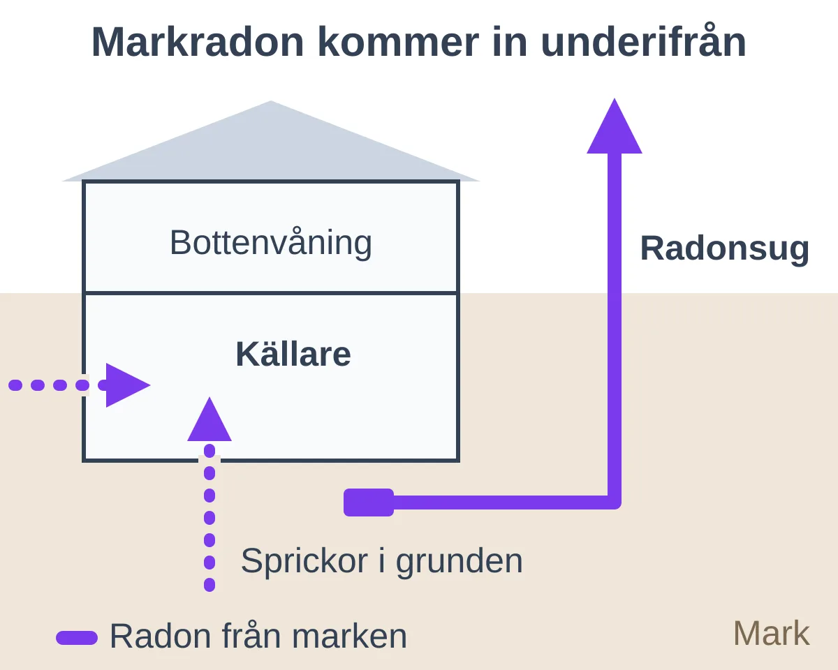 Radon i källaren: så mäter du och så sänker du halten